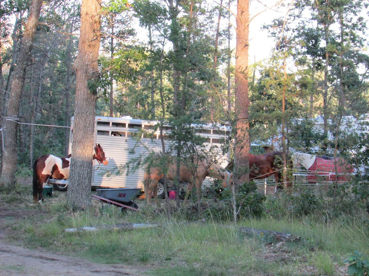 Best Bear Lodge & Campground Irons Dış mekan fotoğraf
